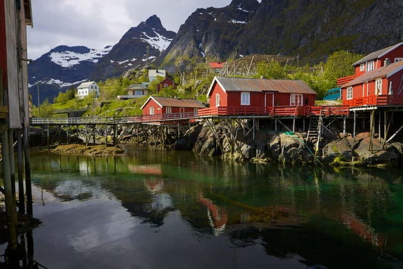 Special Summer Cruise Bus Tour of Lofoten - Exploring the Tour: What to Expect and Why It Matters
