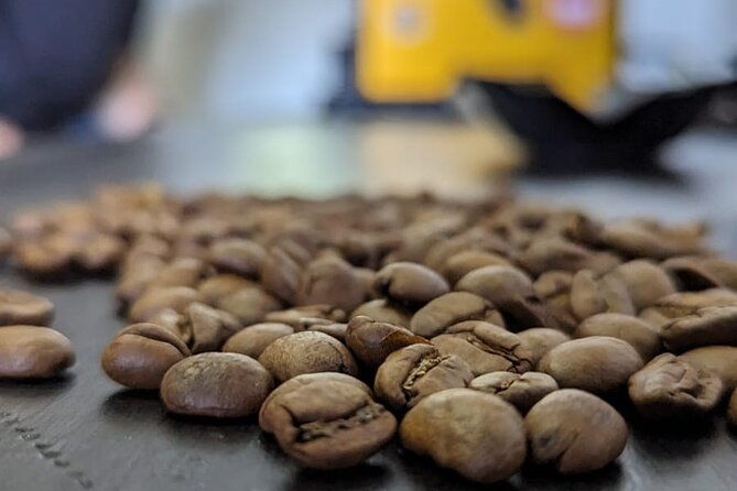 specialty-coffee-cupping