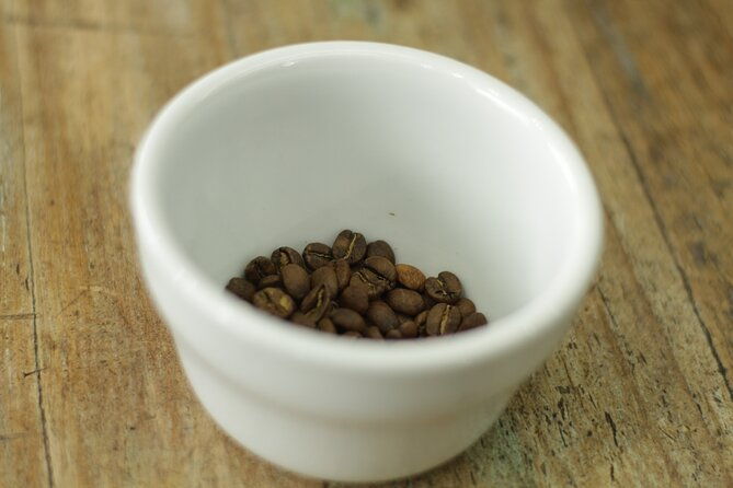 specialty-coffee-cupping