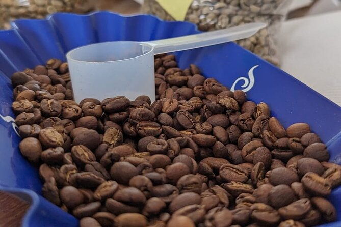 specialty-coffee-cupping