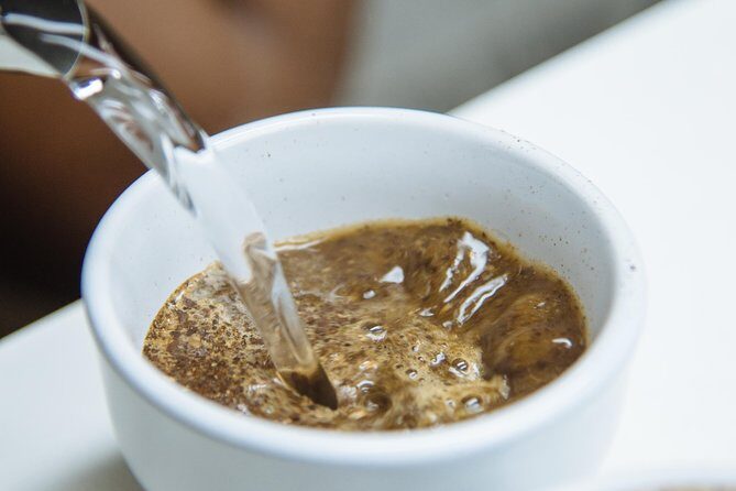 Specialty Coffee Masterclass - Who Should Consider This Tour?