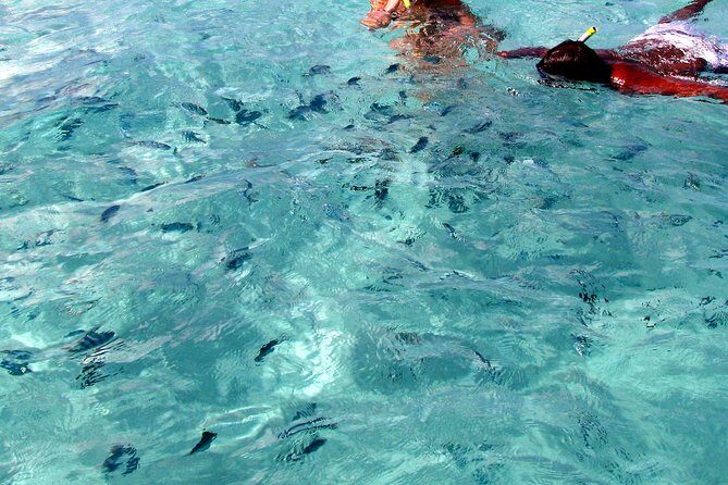 Spectacular Catamaran trip to Ile Aux Cerf with Lunch & Transfer - Who is this tour best for?