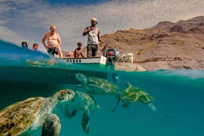 Spectacular experience with sea turtles - An Overview of the Tour Experience
