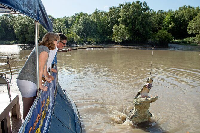 Spectacular Jumping Crocodile Cruise with Darwin Transfer Bus - The Sum Up