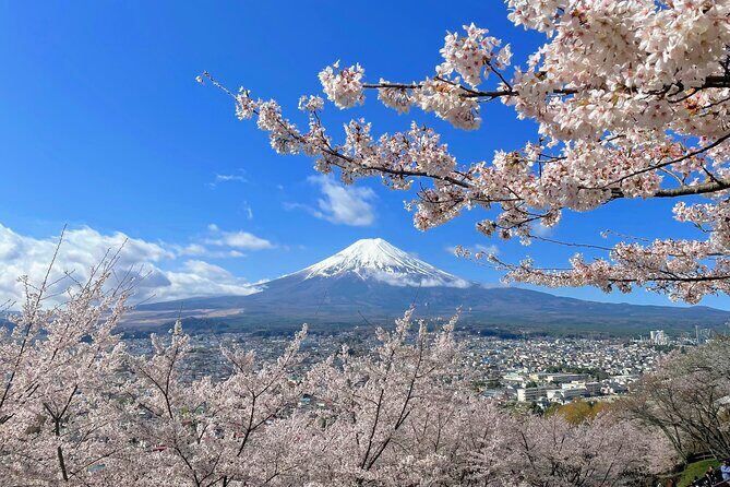 Spectacular Mt. Fuji and Lake Cruise, Noodles Making Experience - FAQ
