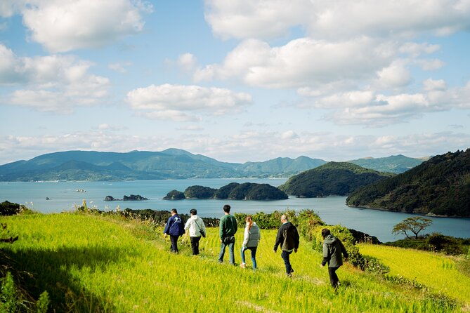 spectacular-terraced-rice-field-walking-experience