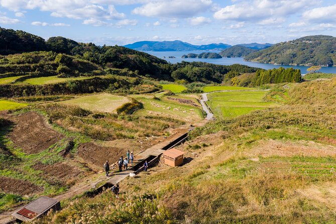 spectacular-terraced-rice-field-walking-experience
