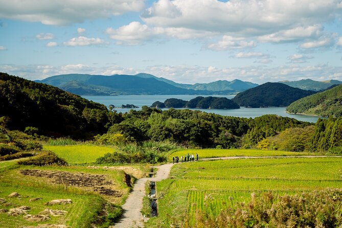 spectacular-terraced-rice-field-walking-experience