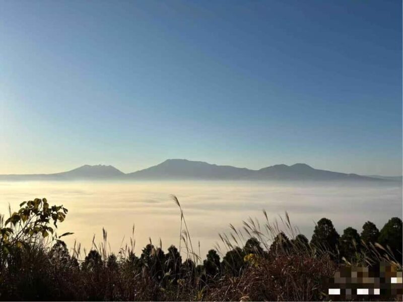 Spectrum of the Seas- Kumamoto Shore Excursion with Guide - Who Would Love This Tour?