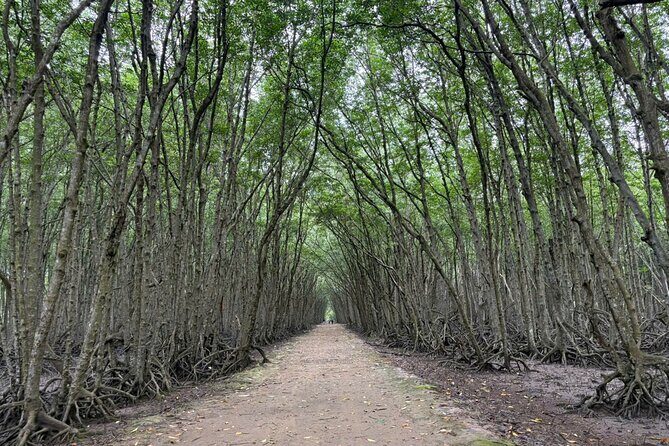 Speedboat Adventure: Can Gio Mangrove, Monkey Island & Crocodiles - Is This Tour Right for You?