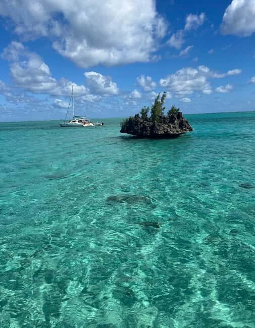 Speedboat excursion: Ile aux Bénitier/Dauphins/ Roche Crystal - Key Points