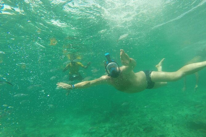 speedboat-sailing-with-snorkeling-experience-in-punta-cana