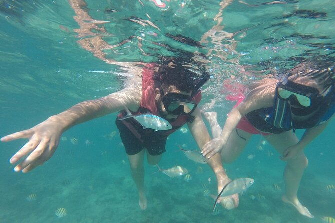 speedboat-sailing-with-snorkeling-experience-in-punta-cana