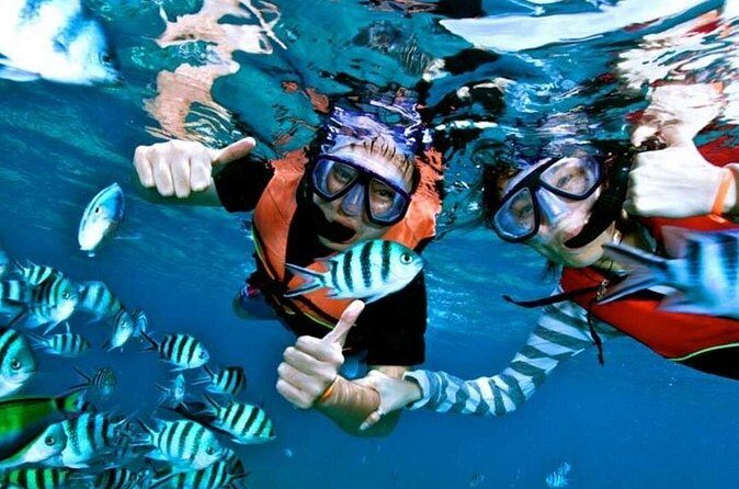 Speedboat Tour to Koh Tao and Koh Nang Yuan, with Snorkeling and Lunch - FAQ