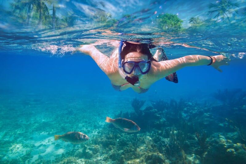 speedboat-tours-sakarun-sunken-ship-veli-rat-bozava-muline