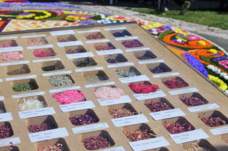 spello-old-town-guided-walking-tour