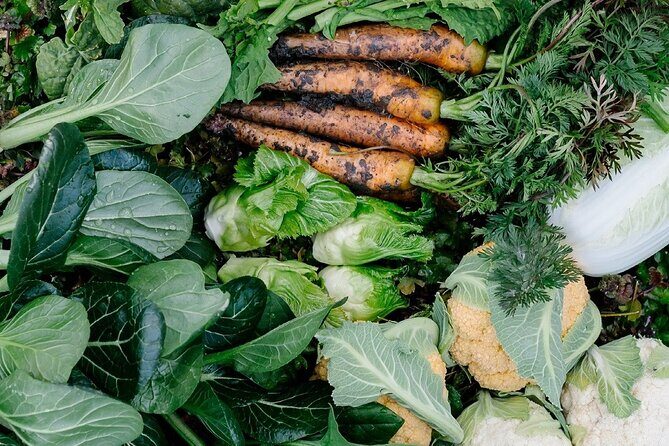 Spend Special Time Enjoying Local Food in Zentsuji, Kagawa - Exploring Zentsuji’s Spiritual Roots and Culinary Delights