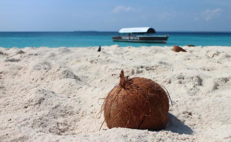 Spice farm and nakupenda paradise sandbank with lunch. - The Itinerary Breakdown