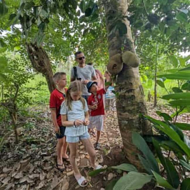 Spice Farm, Stone Town, Prison Island & Nakupenda sand bank - Key Points