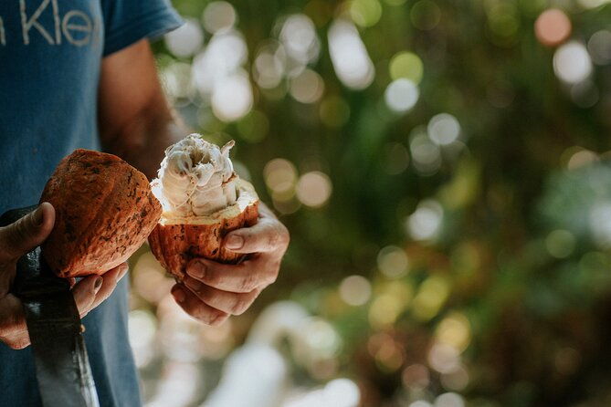 spice-tour-in-manuel-antonio