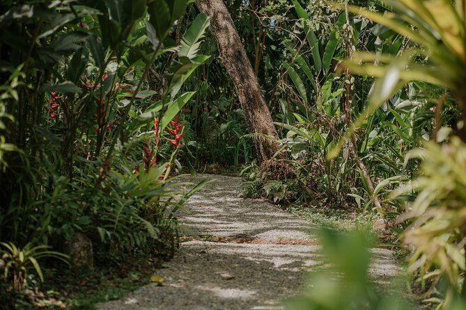 spice-tour-in-manuel-antonio