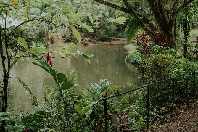 spice-tour-in-manuel-antonio