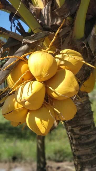 Spice tour, prison island, stone town tour & night market. - Final Thoughts