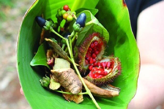 Spice Tour + Stone Town Tour + Prison Island - Is This Tour Right for You?