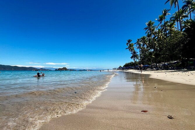 spider-island-tour-snorkeling-and-bioluminescence-from-tambor