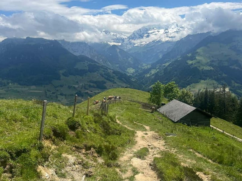 Spiez: Summit Mt. Niesen with a Swiss Triathlete - Introduction to the Niesen Ascent Experience