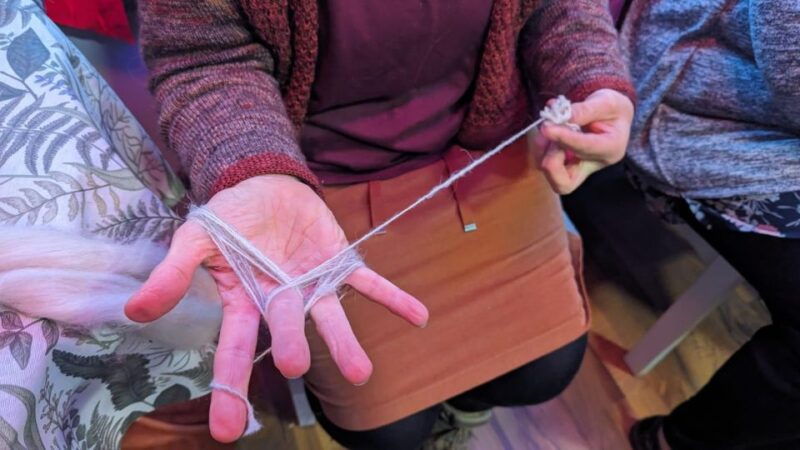 spin-course-with-alpaca-wool