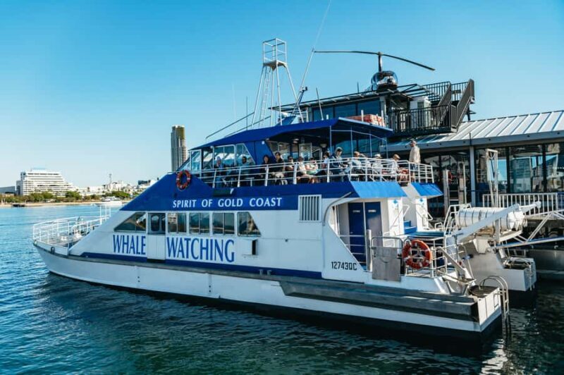 Spirit of Gold Coast 2.5-Hour Whale Watching Tour - What to Expect on the Tour