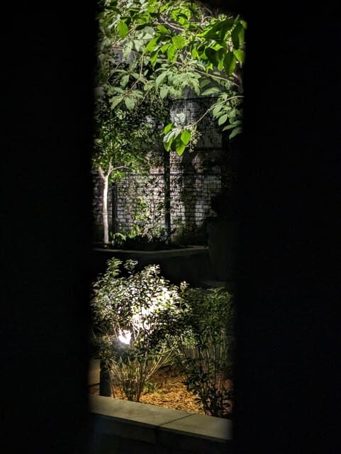 Spirit Xperience: Paranormal Walking Ghost Tour in Savannah - Value & Cost Analysis