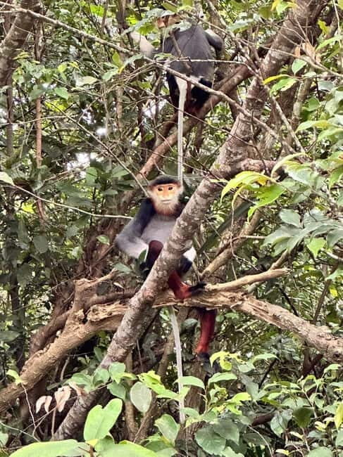 Spiritual Journey in Da Nang: Linh Ung & Marble Mountains - Why You Should Consider This Tour
