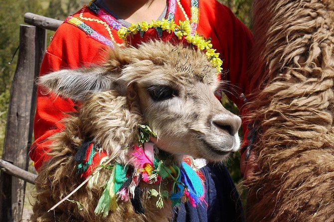 spiritual-meditation-in-the-sacred-valley-of-the-incas-machu-picchu-2-days