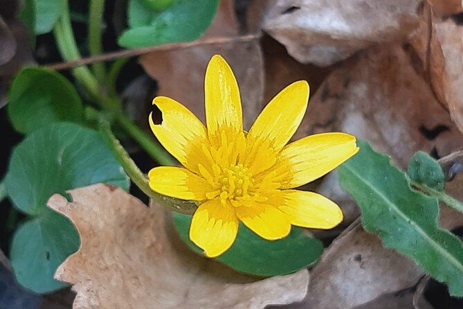 spirituality-walk-to-a-recent-and-a-medieval-religious-sanctuary