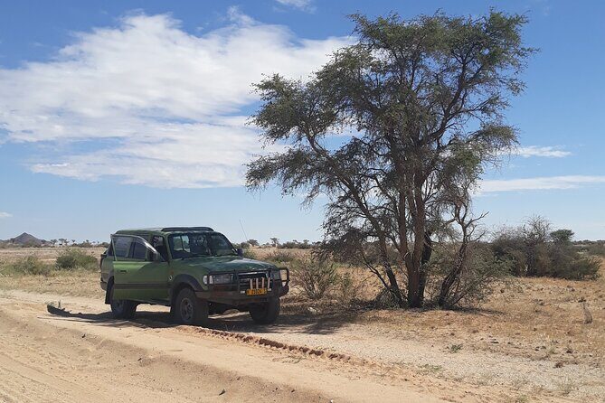 Spitzkoppe Day Tour from Swakopmund - Who’s This Tour Best For?