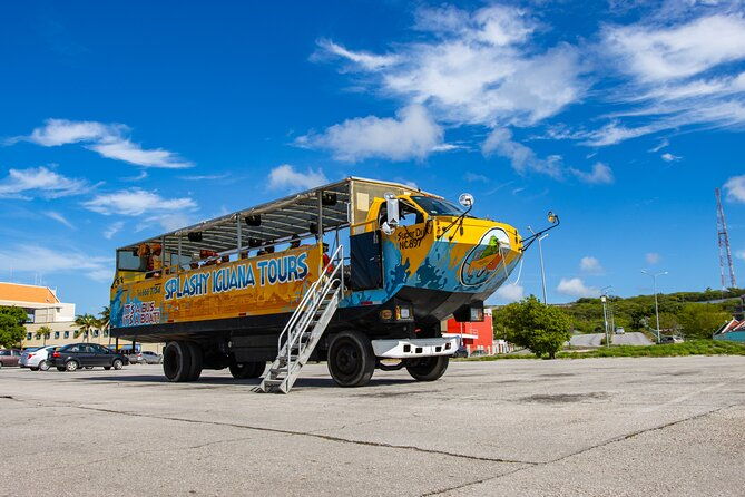 splashy-iguana-tour-in-curacao