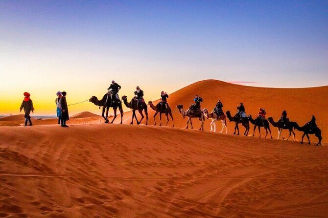 Splendors of Morocco 9 Days - The Itinerary in Detail: What to Expect