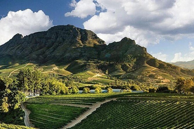 Splendour in the Winelands - Private Tour - Why This Tour Stands Out