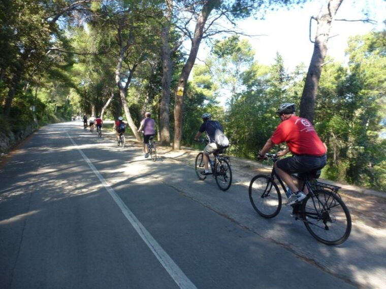 split-3-hour-guided-bike-tour