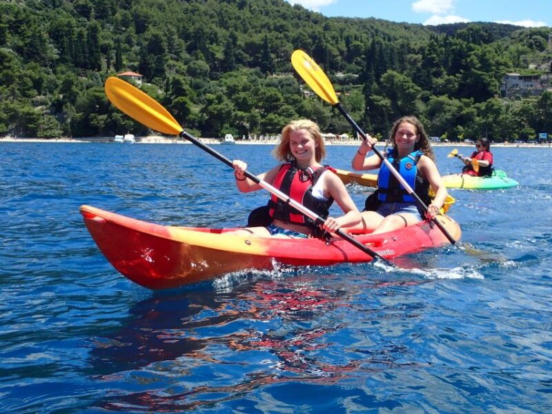 split-4-hour-guided-sea-kayak-tour