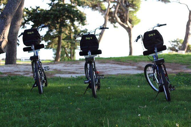 split-electric-bicycle-tour