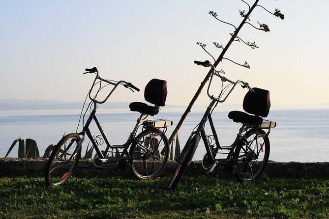 split-electric-bicycle-tour