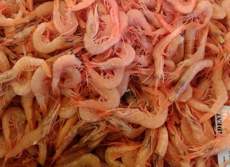 split-food-tasting-walking-tour