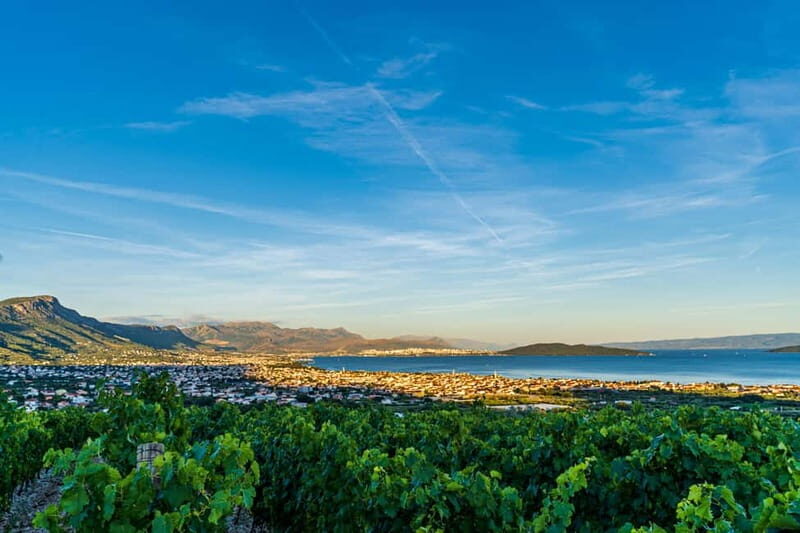 Split/Grad Katela: Vineyard Hen Party Dinner with Transfers - Discovering the Vineyard Experience