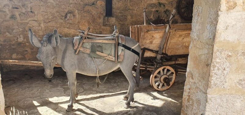 split-krka-waterfalls-sibenik-heritage-private-tour