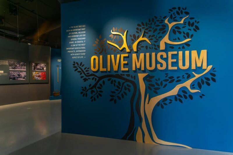 split-olive-museum-klis-with-olive-oil-tasting