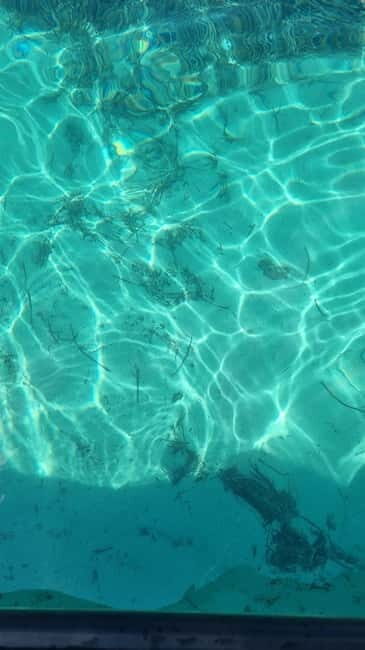 Split: Private Blue Lagoon & olta Shipwreck Tour - FAQ