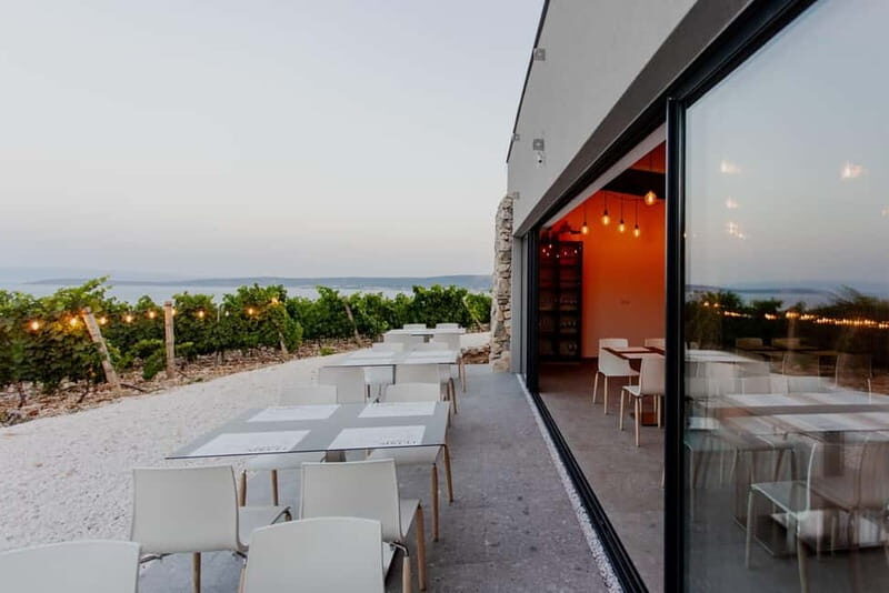 Split: Sip & Celebrate Wine-tasting Hen Party in a Vineyard - Discovering the Vineyard: An Authentic Croatian Setting